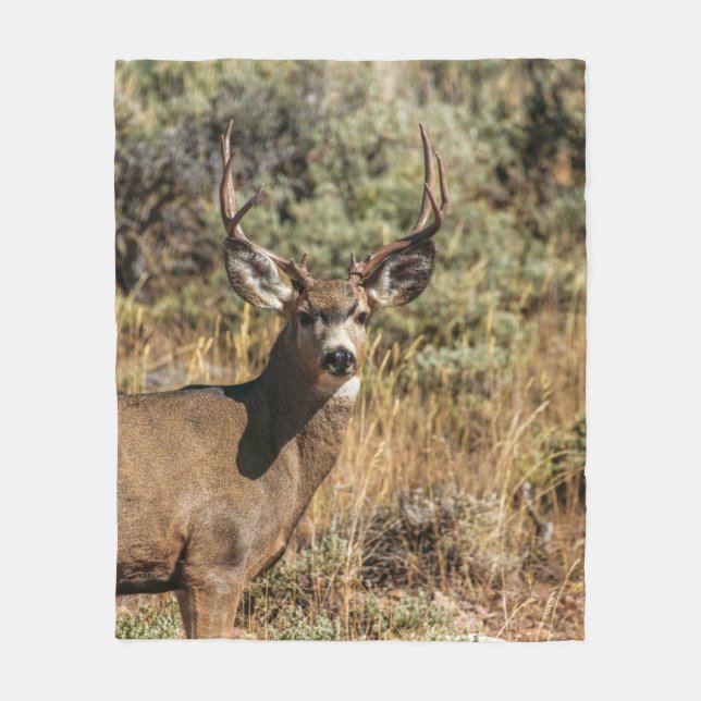 WILDLIFE PHOTOGRAPHY OF BROWN BUCK FLEECE BLANKET (Front)