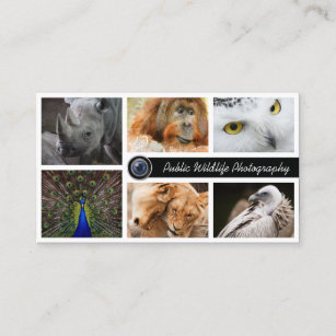 Wildlife Photography Photographer Business Card