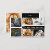 Wildlife Photography Photographer Business Card (Front/Back)