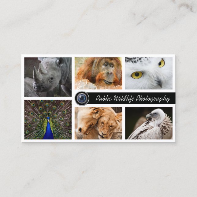 Wildlife Photography Photographer Business Card (Front)