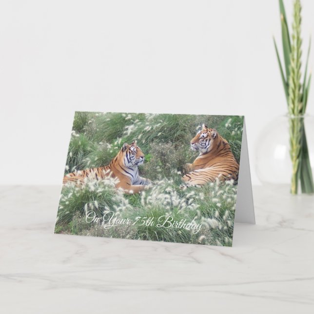 Wildlife Photography Tigers Custom 75th Birthday Card (Front)