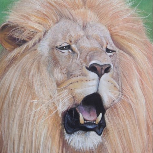 wildlife picture of big cat roaring lion pouf