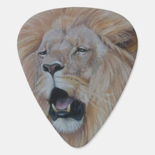 wildlife picture of big cat roaring lion  white de guitar pick