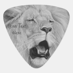 wildlife picture of big cat roaring lion  white de guitar pick