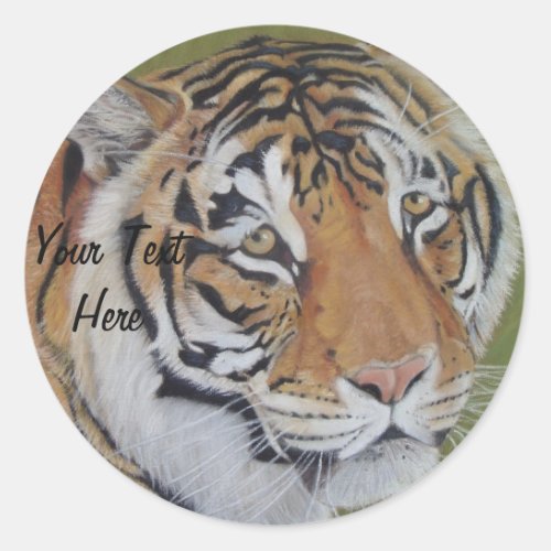 wildlife picture of big cat tiger  classic round sticker