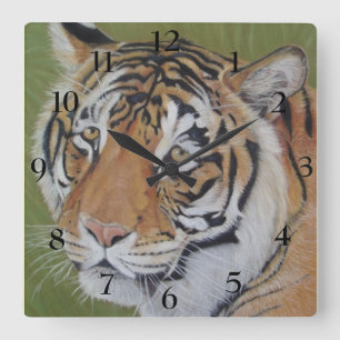 wildlife picture of big cat tiger square wall clock
