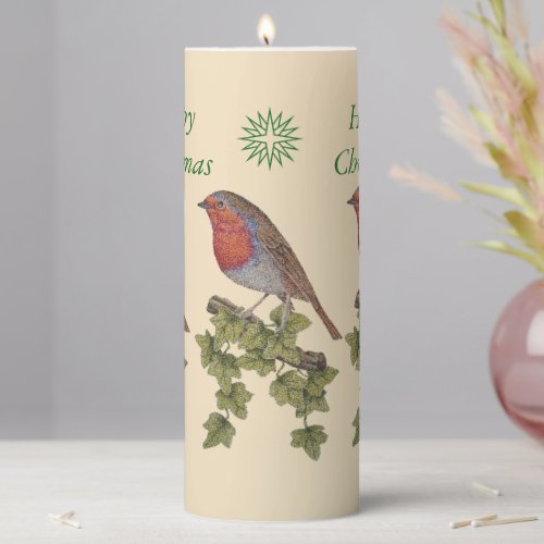 wildlife picture of ivy leafs and christmas robin pillar candle