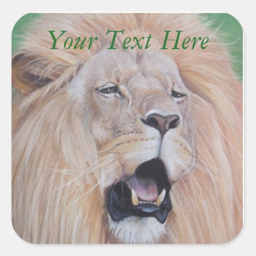 wildlife picture of sad lion roaring big cat square sticker