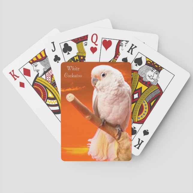 Wildlife playing cards (Back)