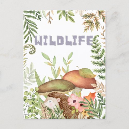 Wildlife Postcard