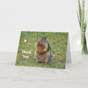 Wildlife Prairie Dog Mammal Photo Letterpress Thank You Card