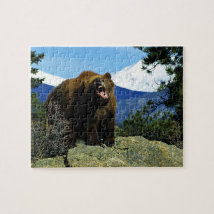 Wildlife Puzzle-Bear Jigsaw Puzzle
