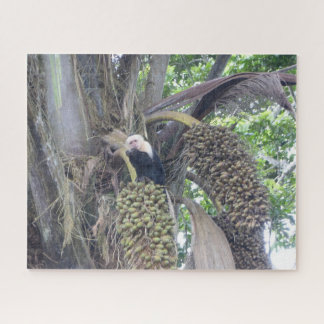Wildlife Puzzle: Cute Capuchin Monkey in Tree Jigsaw Puzzle