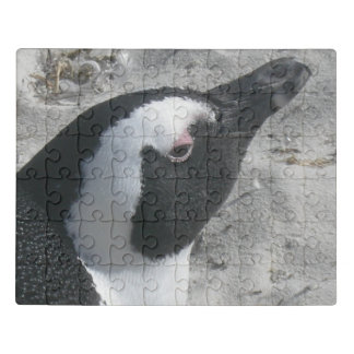 Wildlife Puzzle: Cute South African Penguin Face Jigsaw Puzzle