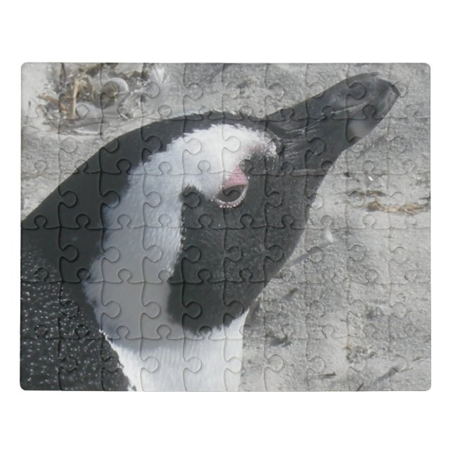 Wildlife Puzzle: Cute South African Penguin Face Jigsaw Puzzle (Puzzle Horizontal)