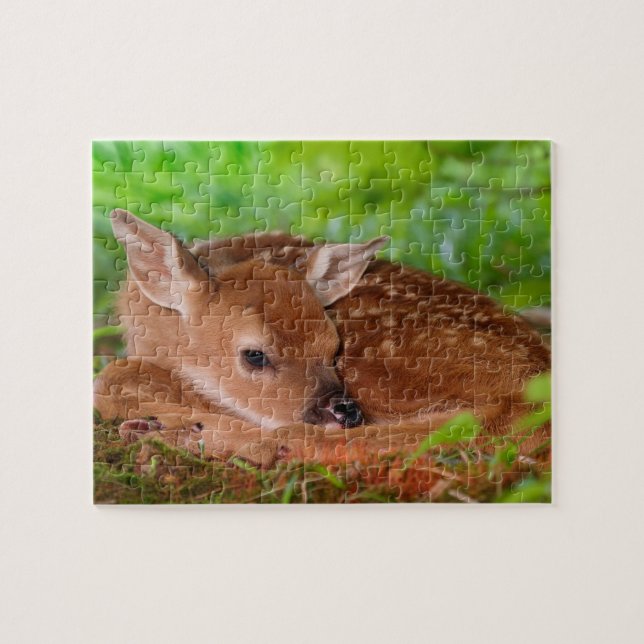 Wildlife Puzzle-Fawn Jigsaw Puzzle (Horizontal)