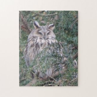 Wildlife Puzzle: Long-eared Owl  Jigsaw Puzzle