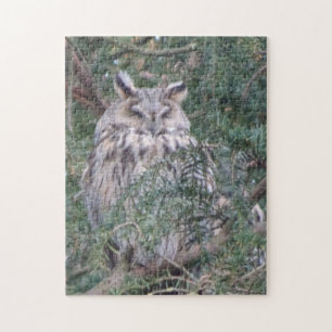 Wildlife Puzzle: Long-eared Owl Jigsaw Puzzle