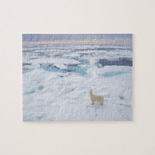 Wildlife Puzzle-Polar Bear Jigsaw Puzzle