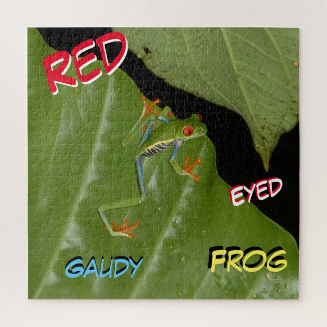 Wildlife Puzzle: Red Eyed Gaudy Frog Jigsaw Puzzle (Vertical)