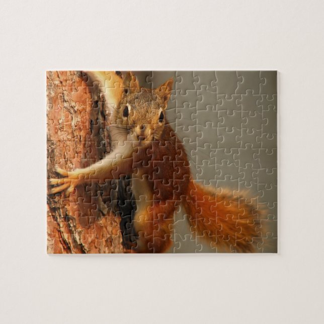 Wildlife Puzzle-Squirrel Jigsaw Puzzle (Horizontal)