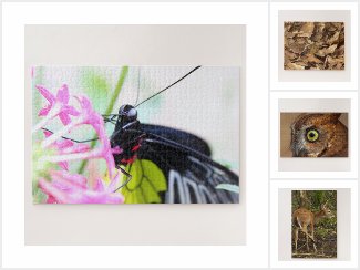 Wildlife Puzzles