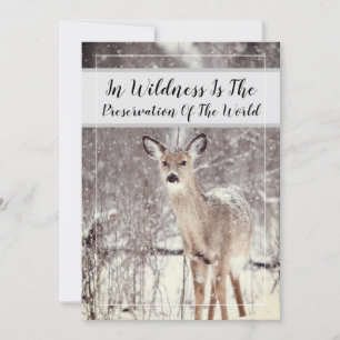 Wildlife Quote Woodland Deer Snow Winter Holiday
