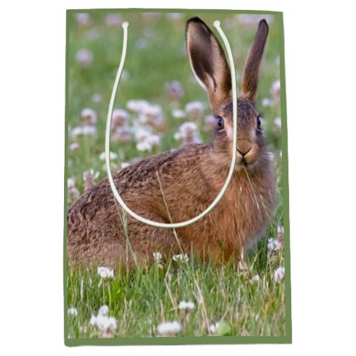 Wildlife Rabbit Sitting in Clover Paper Gift Bag