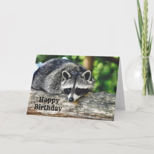 Wildlife Raccoon Log Mammal Photo Birthday Card