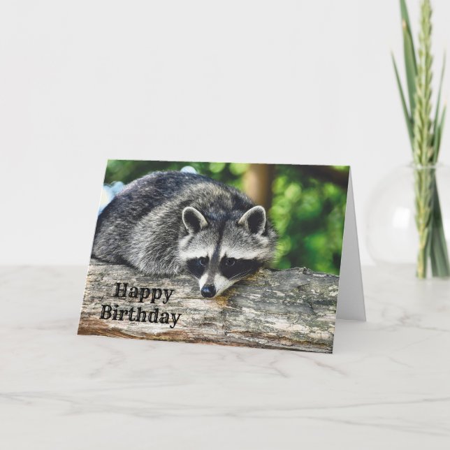 Wildlife Raccoon Log Mammal Photo Birthday Card (Front)