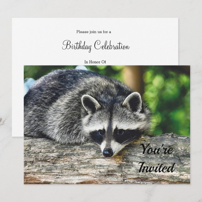 Wildlife Raccoon Log Mammal Photo Birthday Invitation (Front/Back)