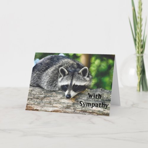 Wildlife Raccoon Log Mammal Photo Sympathy Card