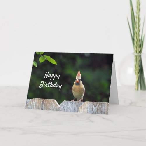 Wildlife Red Cardinal Fence Birthday Card