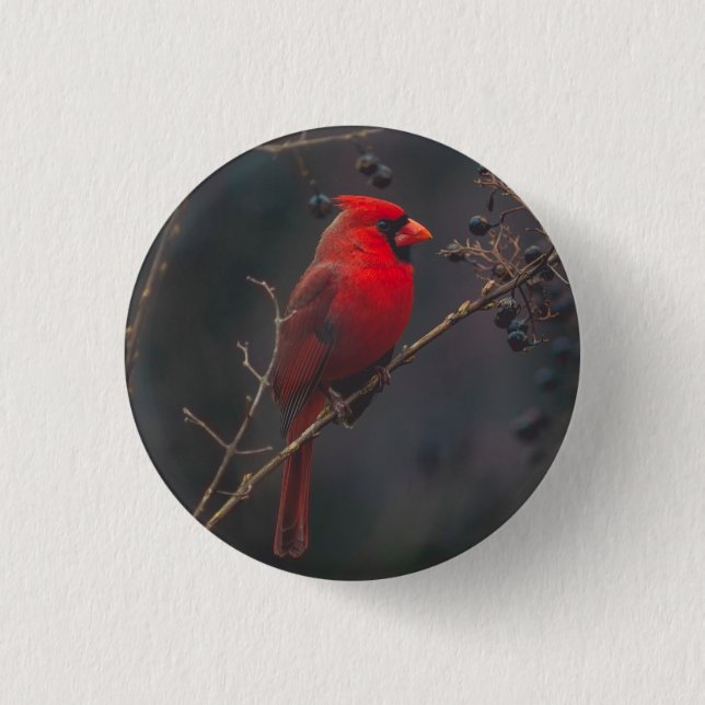 Wildlife Red Cardinal Photo Button (Front)