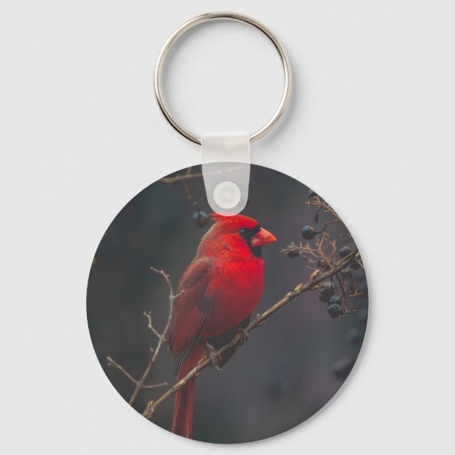 Wildlife Red Cardinal Photo Keychain (Front)