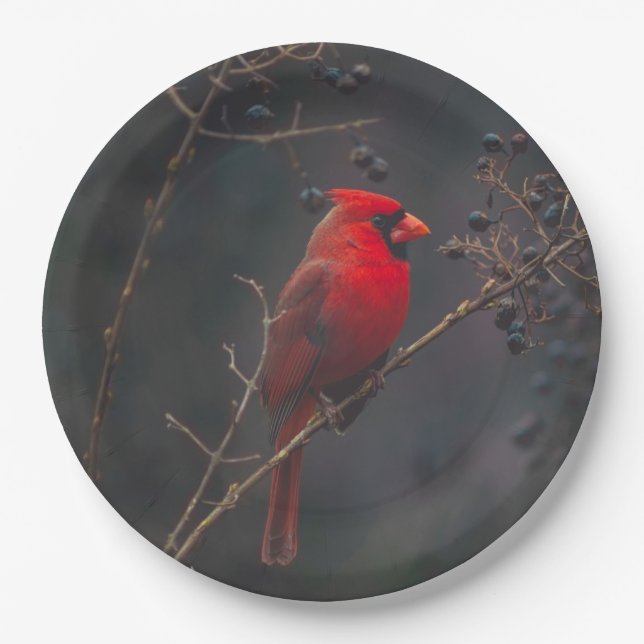 Wildlife Red Cardinal Photo Paper Plates (Front)