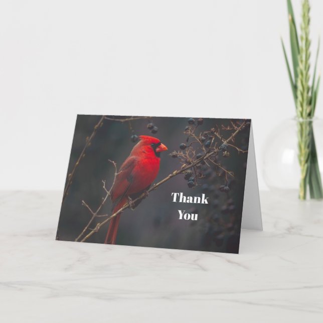Wildlife Red Cardinal Thank You Card (Front)