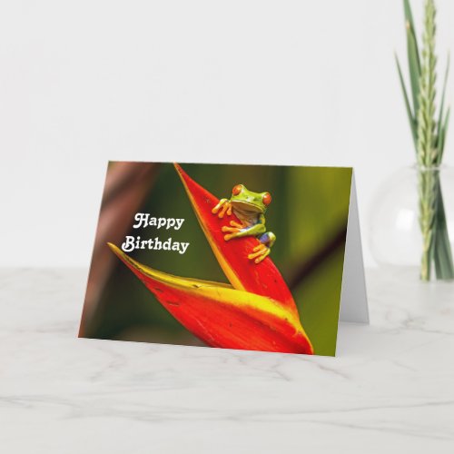 Wildlife Red Eyed Tree Frog Photo Birthday Card