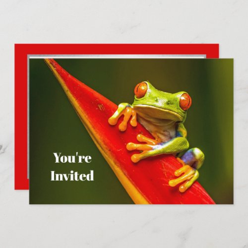 Wildlife Red Eyed Tree Frog Photo Birthday Invitation