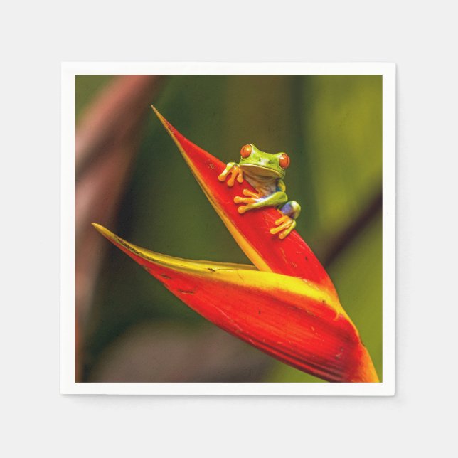 Wildlife Red Eyed Tree Frog Photo Napkins (Front)