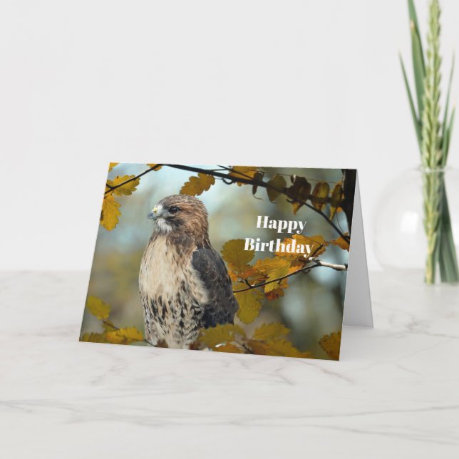 Wildlife Red Tailed Hawk Autumn Photo Birthday Card (Front)