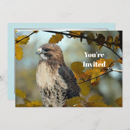 Wildlife Red Tailed Hawk Autumn Photo Birthday Invitation