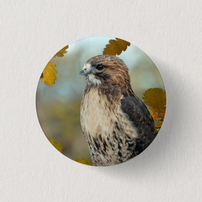 Wildlife Red Tailed Hawk Autumn Photo Button (Front)