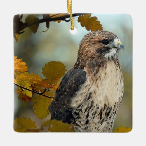 Wildlife Red Tailed Hawk Autumn Photo Ceramic Ornament