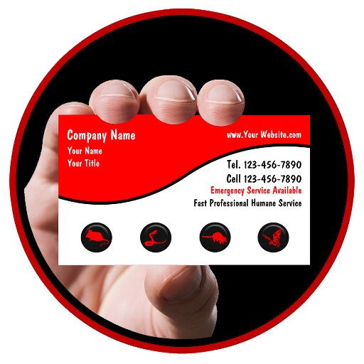Customizable Wildlife Removal Business Cards