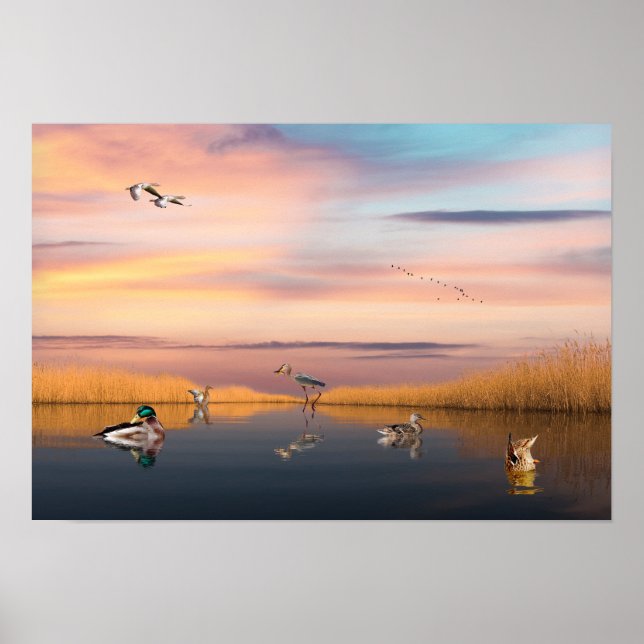 Wildlife Reserve Poster (Front)