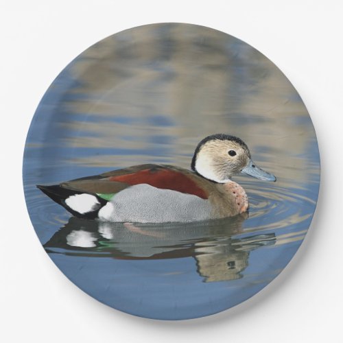 Wildlife Ringed Teal Duck Photo Paper Plates