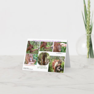 Wildlife Romantic Humor Card