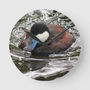 Wildlife Ruddy Duck Photo Round Clock