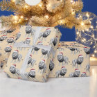Wildlife Safari Animal Lion Santa Hat Christmas